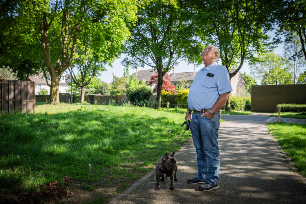 Van ijsvogel tot roodborstje: De Haren heeft het!