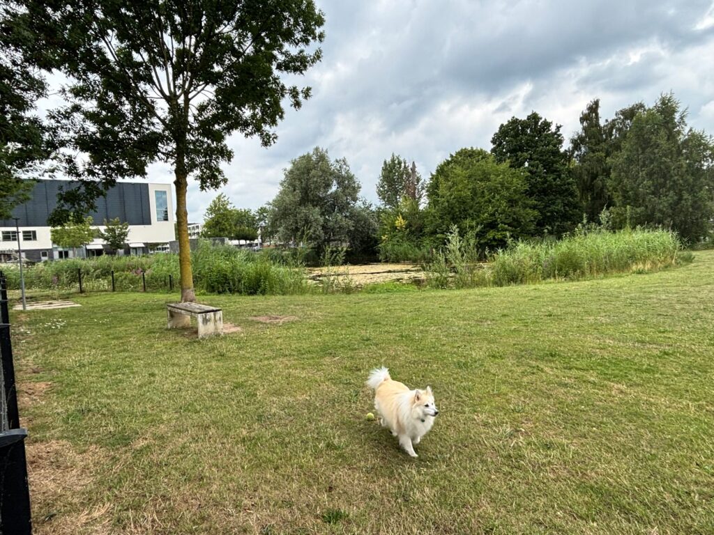 Een nieuwe stap voor Ad en Netty