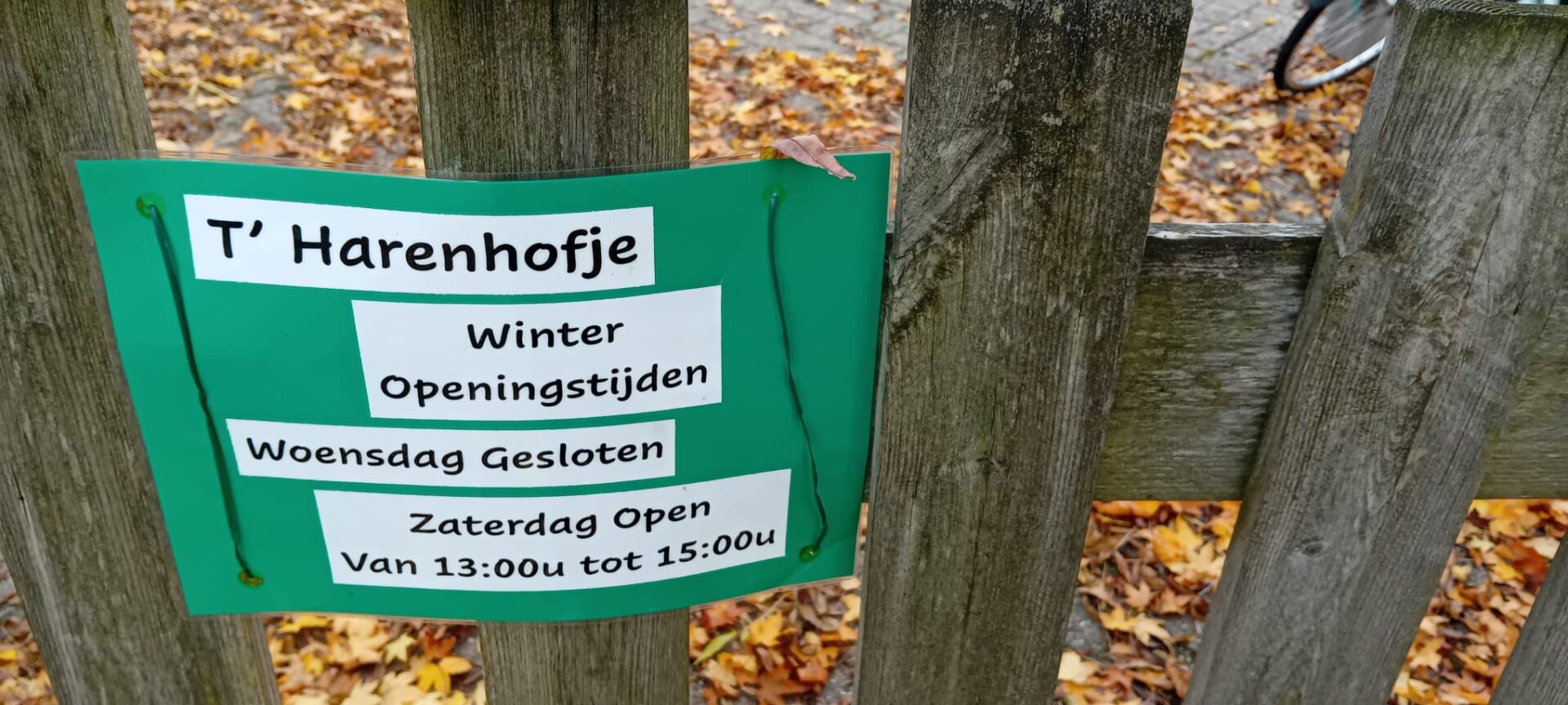 Winter in ’t Harenhofje